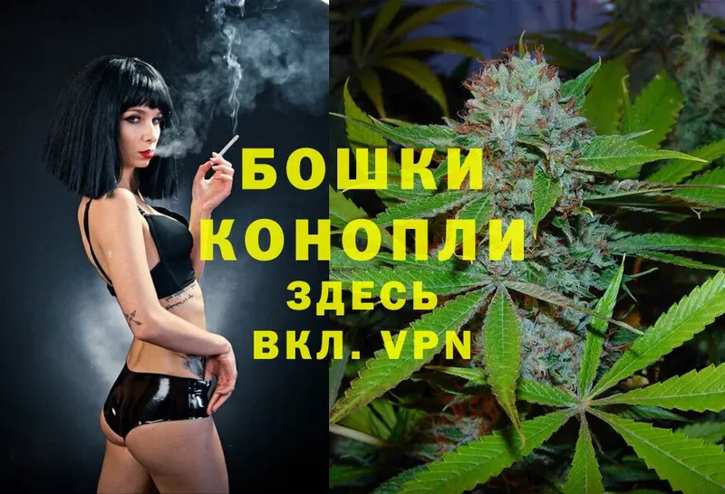 где найти наркотики  МЕГА маркетплейс  Канабис THC 21%  Завитинск 